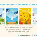 Seasonal Guide Money Tree Bonsai
