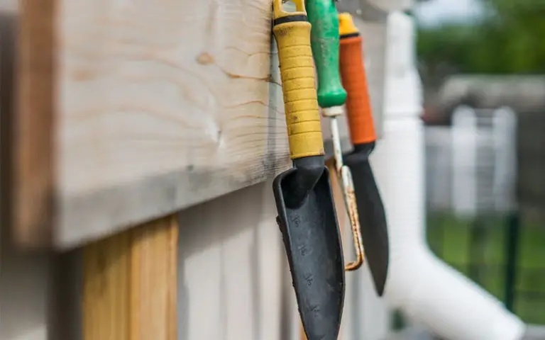 bonsai tools