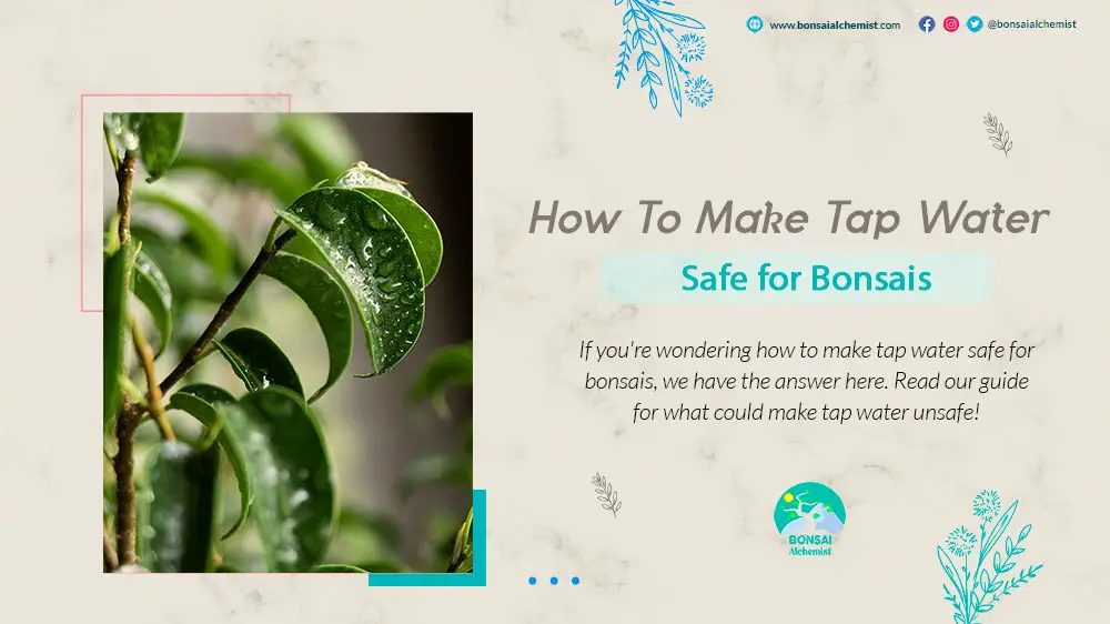 How To Make Tap Water Safe