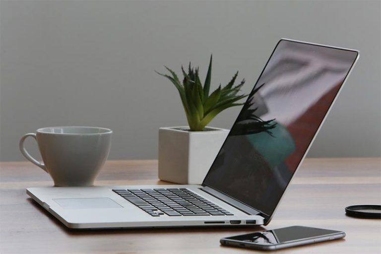 Bonsai Linked to Better Office Productivity