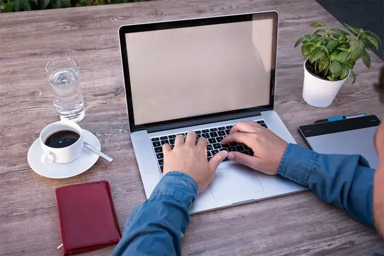 Bonsai Linked to Better Office Productivity