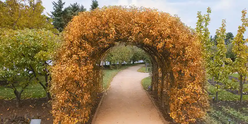 Chicago Botanic Garden