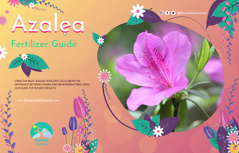 azalea fertilizer