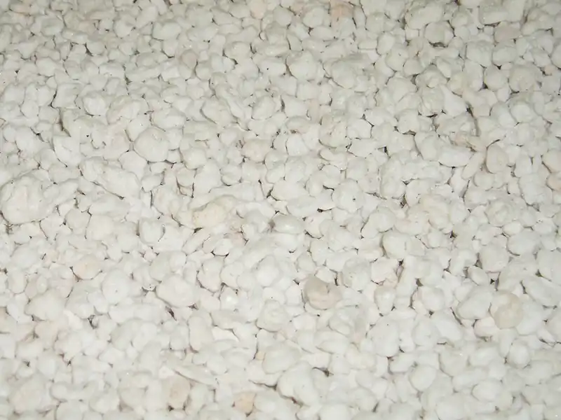 pumice vs. perlite