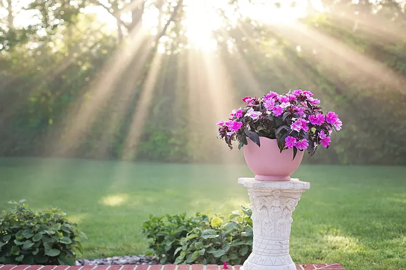 planter without holes