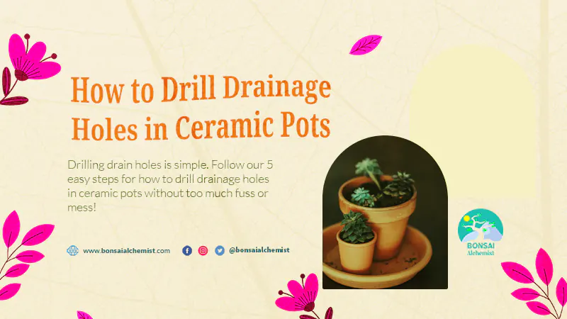 How to Drill Drainage Holes in Ceramic Pots