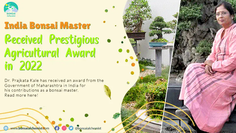 india bonsai master award