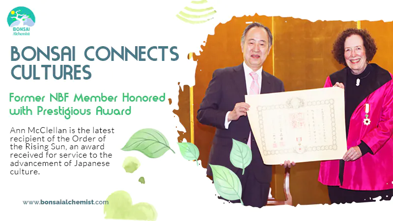 Bonsai Connects Cultures | Former NBF Member Honored with Prestigious Award