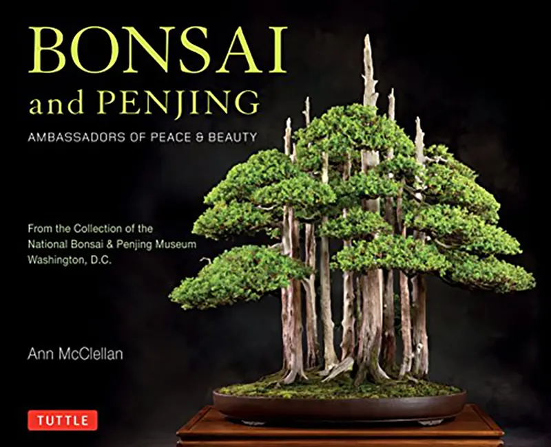 Love of Bonsai earns Ann McClellan a Japanese Award