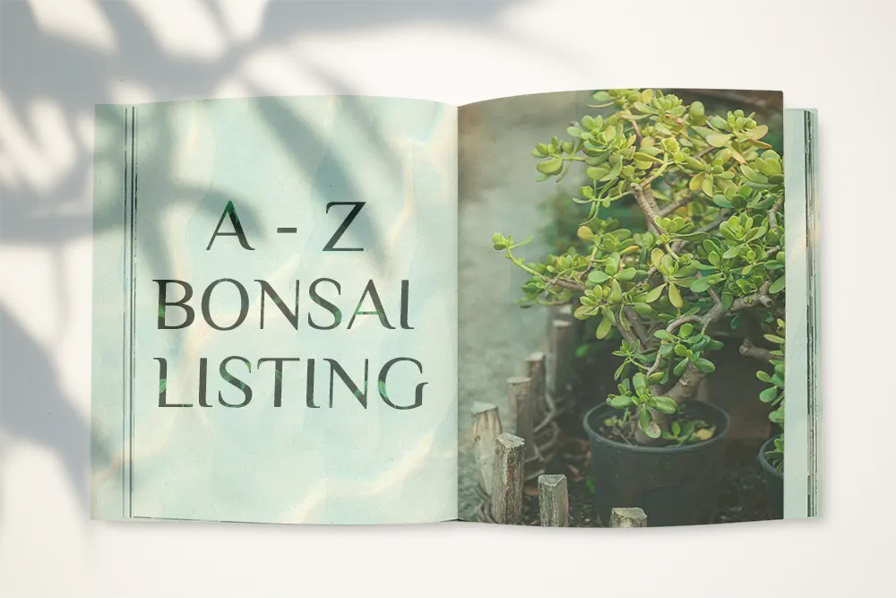 Bonsai listing book