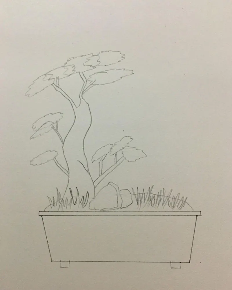 how to draw a bonsai tree