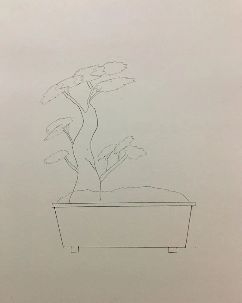 how to draw a bonsai tree