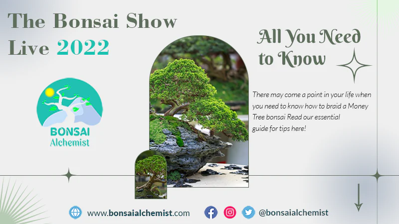 Bonsai Show Live 2022