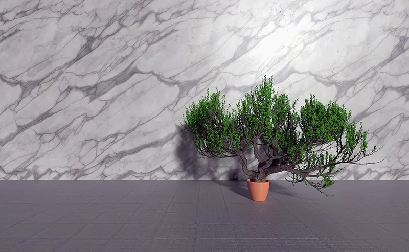 bonsai market growth 2022