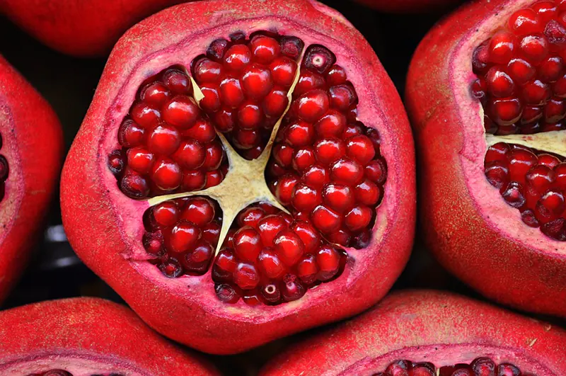 grow pomegranate from seed