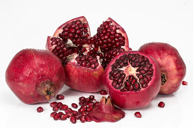 grow pomegranate from seed