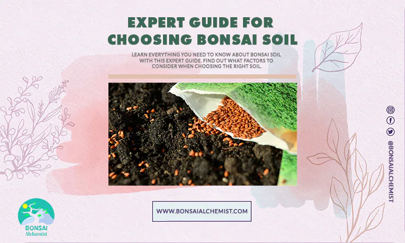 choosing bonsai soil