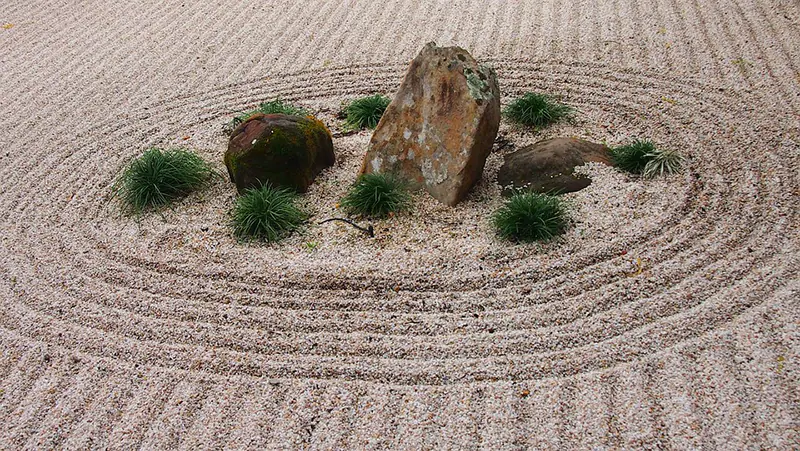 bonsai tree care therapy