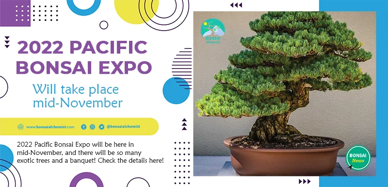 2022 pacific bonsai expo