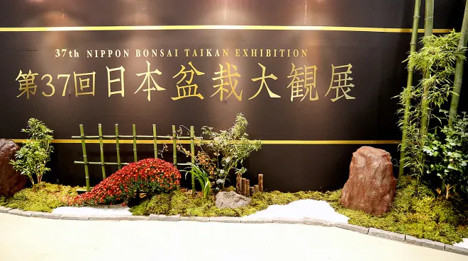taikan bonsai exhibition 2022