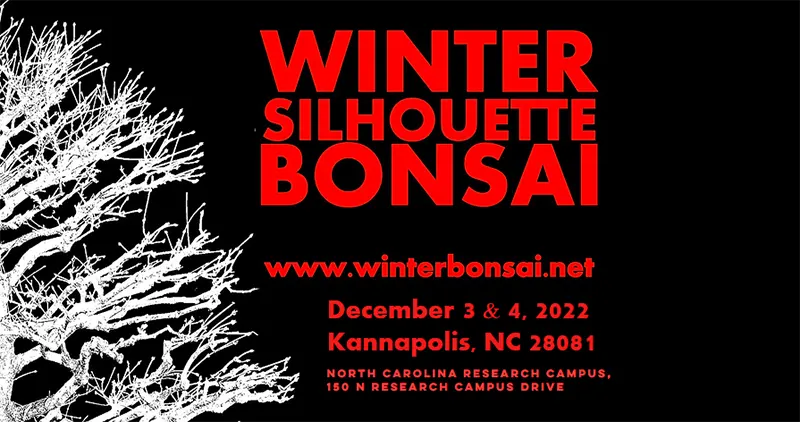 winter silhouette bonsai exhibition 22