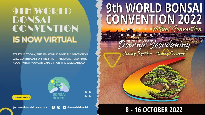 world bonsai convention virtual