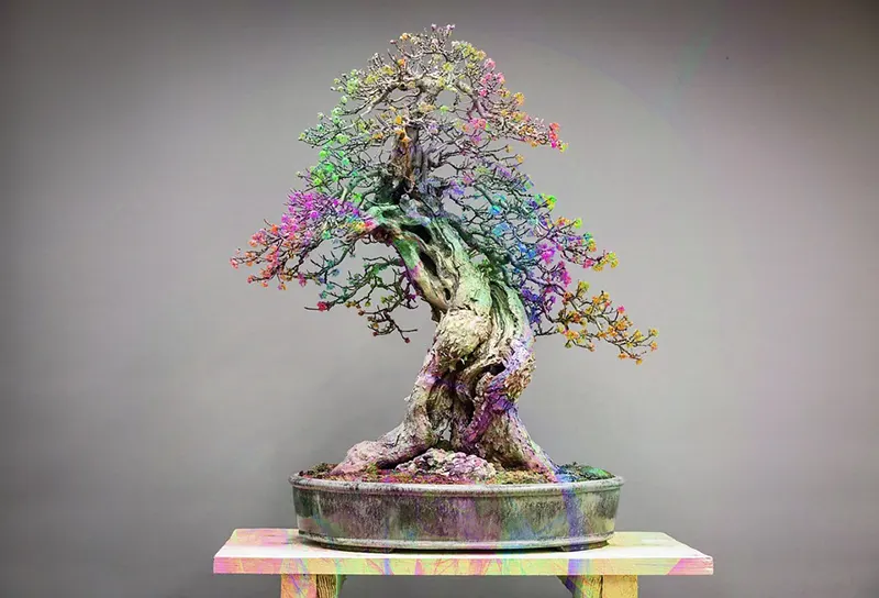 top bonsai tree meanings