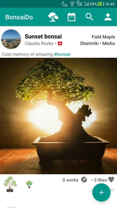 bonsai apps