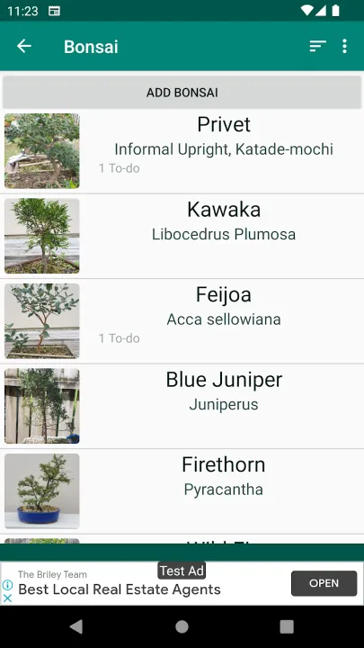 bonsai apps